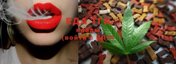 прущие грибы Абинск