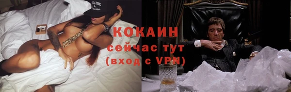 дживик Абаза