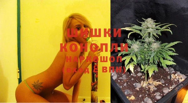 дживик Абаза