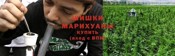 дживик Абаза