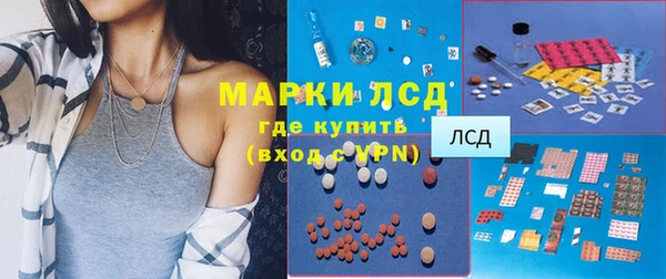 прущие грибы Абинск