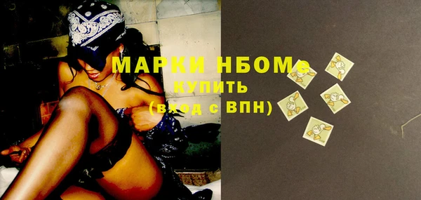 прущие грибы Абинск