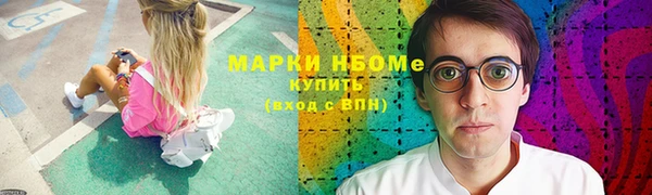 прущие грибы Абинск